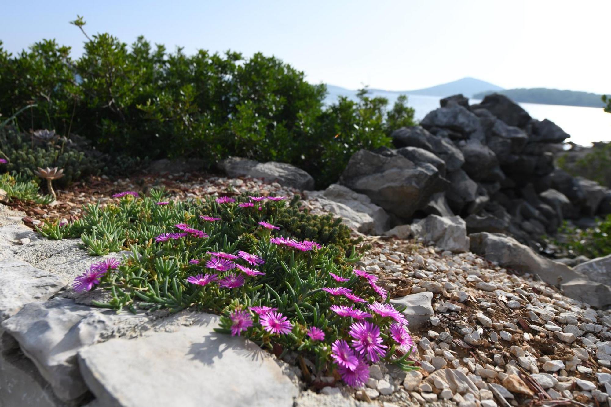 Beach House Marina Grande Betina  Exterior foto